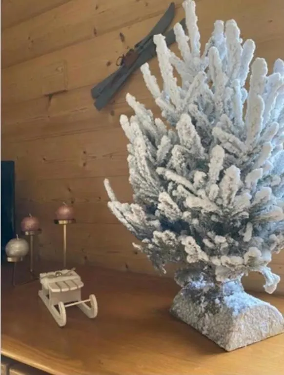 Le Chalet des rêves - Le Su-et de Laetitia et Johan Entremont Appartement